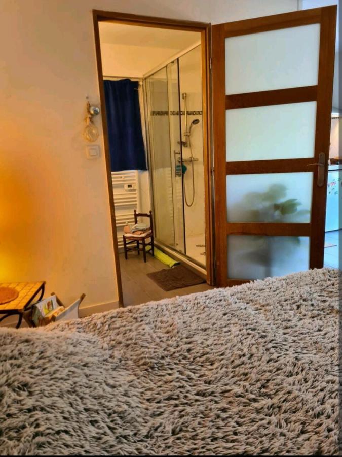 サン・ジョルール・ド・マレムヌ Rez-De-Jardin Piscine Chauffee Et Jardin Privatifsヴィラ エクステリア 写真