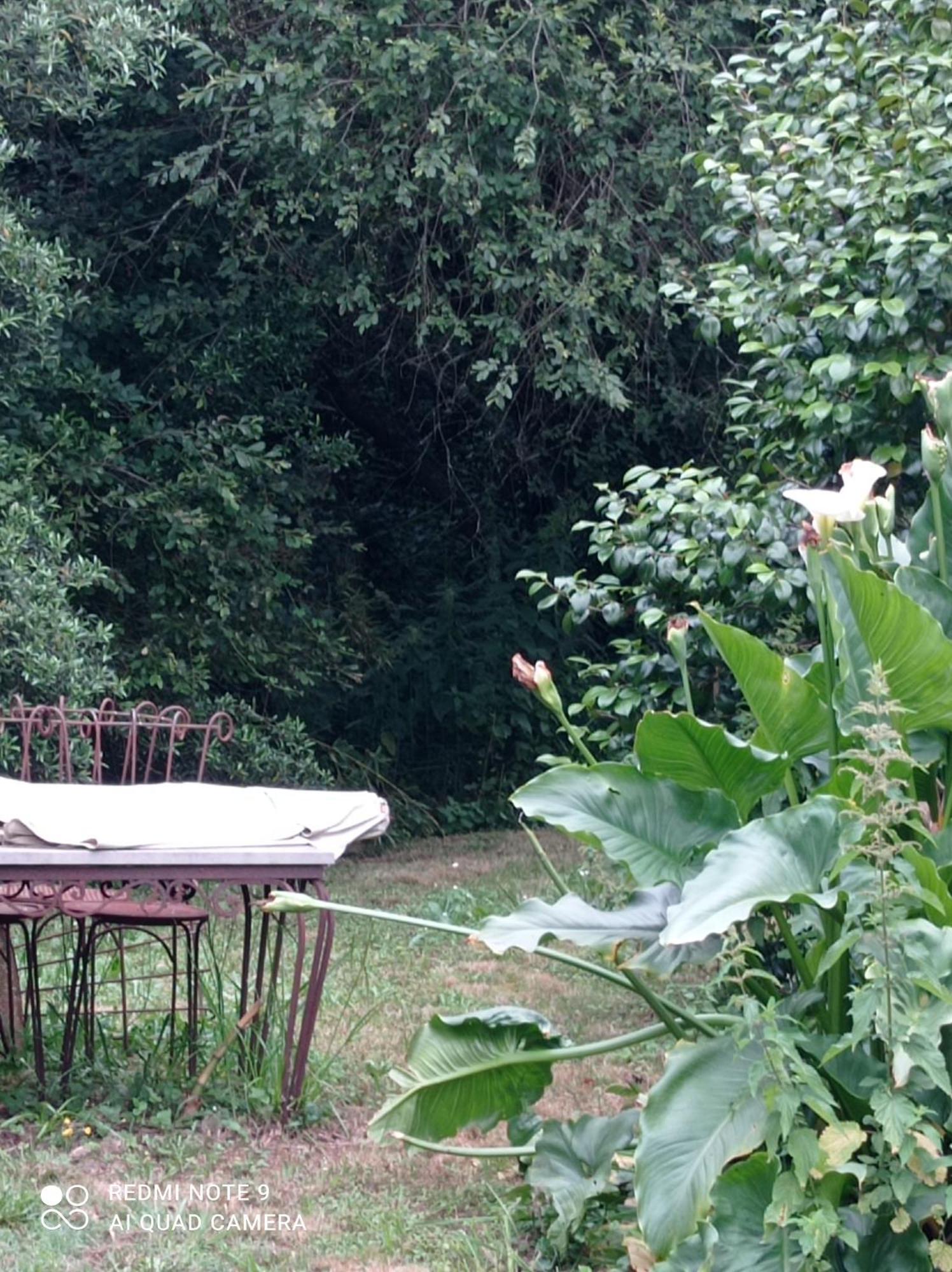 サン・ジョルール・ド・マレムヌ Rez-De-Jardin Piscine Chauffee Et Jardin Privatifsヴィラ エクステリア 写真